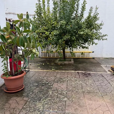 - El Limonero A * Baeza